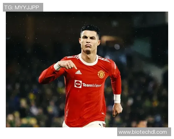 足球179球星传奇：超越历史的辉煌与挑战之路