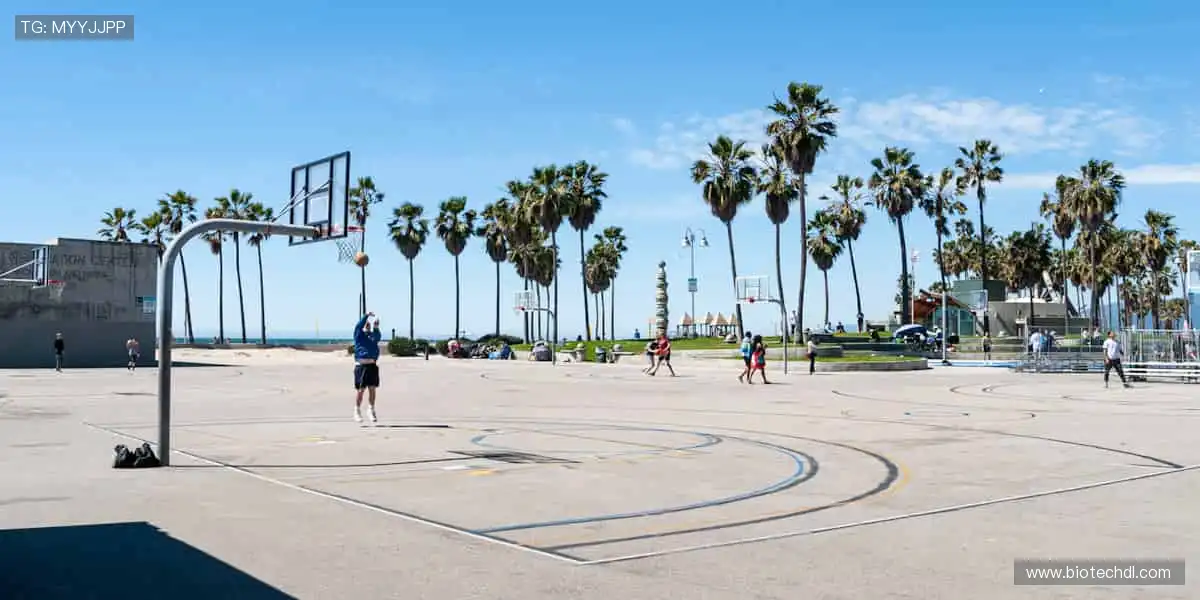 🏅 珍藏回忆，与偶像同行！🧢